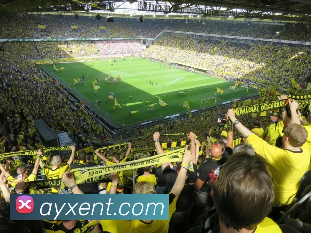 爱游戏体育平台生态图