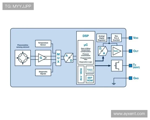 思博康品牌健身器材的性能与市场表现